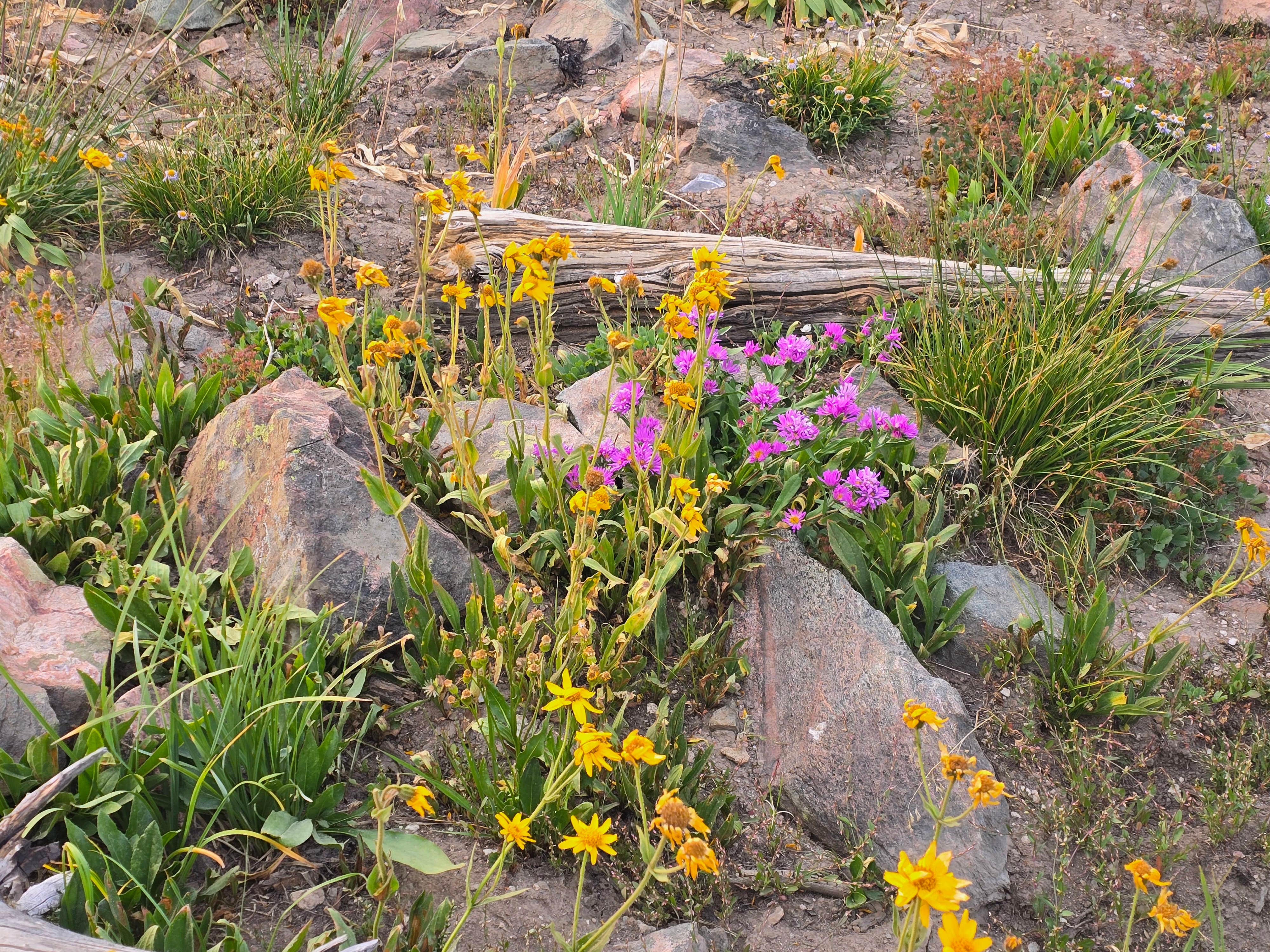 Camper-submitted photo at Summit Lake near Steamboat Springs, CO