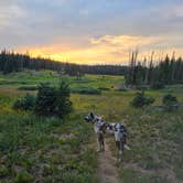 Review photo of Summit Lake by Sue B., August 9, 2025