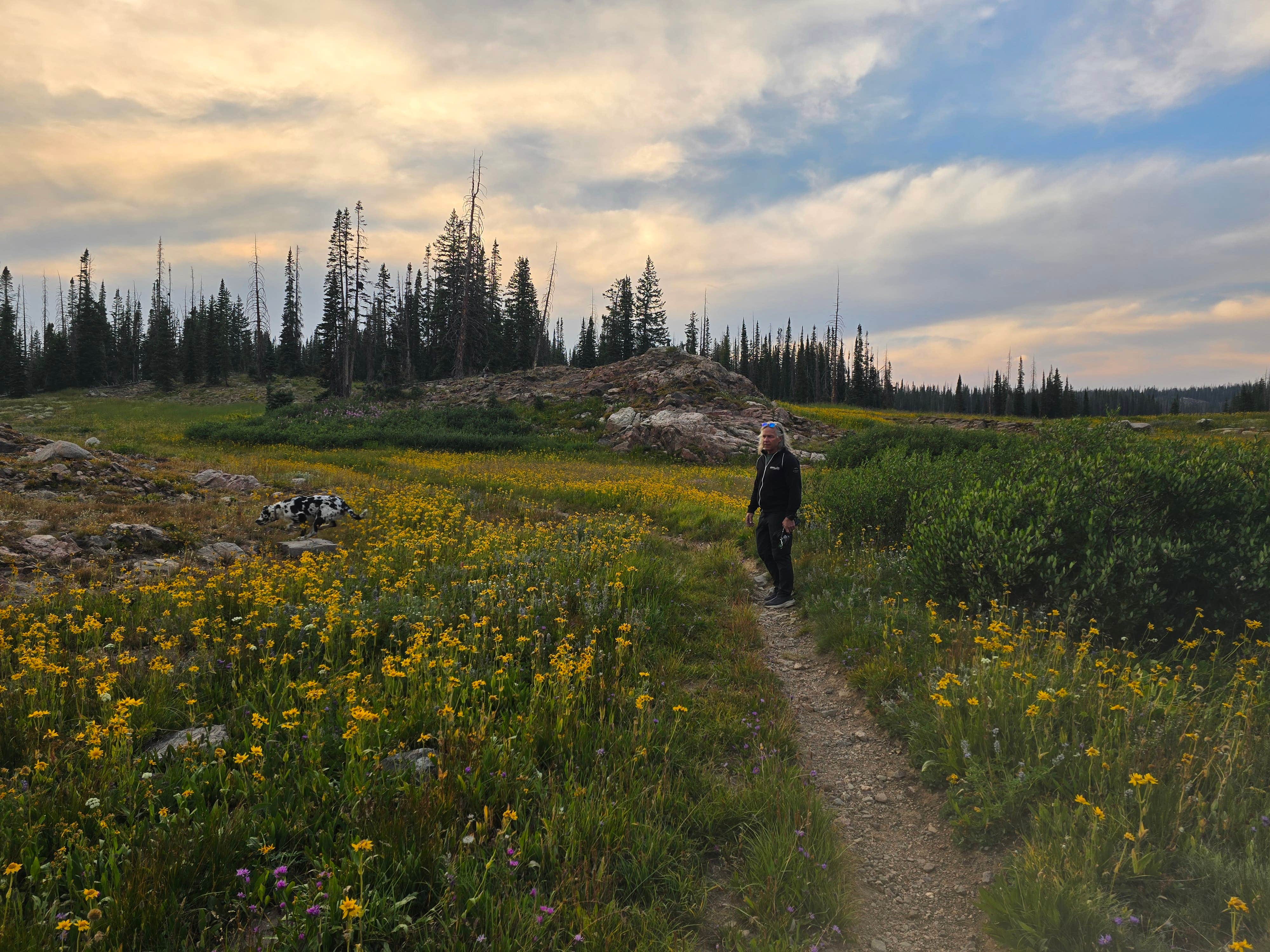 Sue B.'s photo of camping with pets at Summit Lake near Medicine Bow-Routt National Forests and Thunder Basin National Grassland