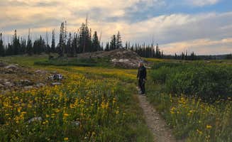 Sue B.'s photo of camping with pets at Summit Lake near Hayden, CO