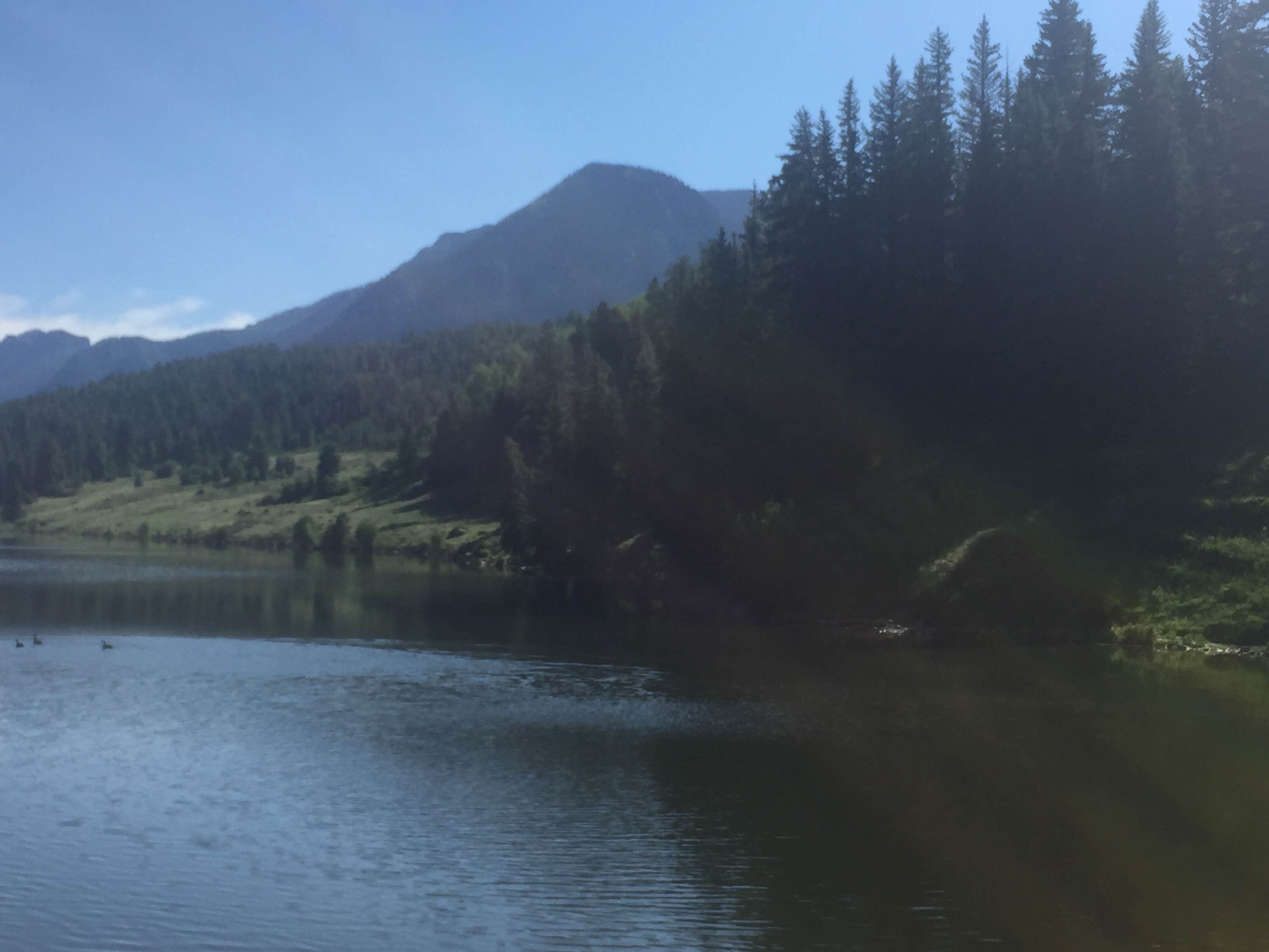 Camper-submitted photo at Teal Campground near Pagosa Springs, CO