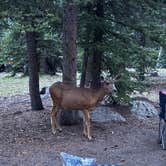 Review photo of Thirty Mile by Morgan R., July 25, 2026