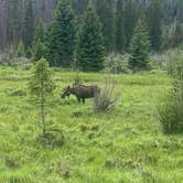 Review photo of Timber Creek Campground — Rocky Mountain National Park by Tom H., June 27, 2024
