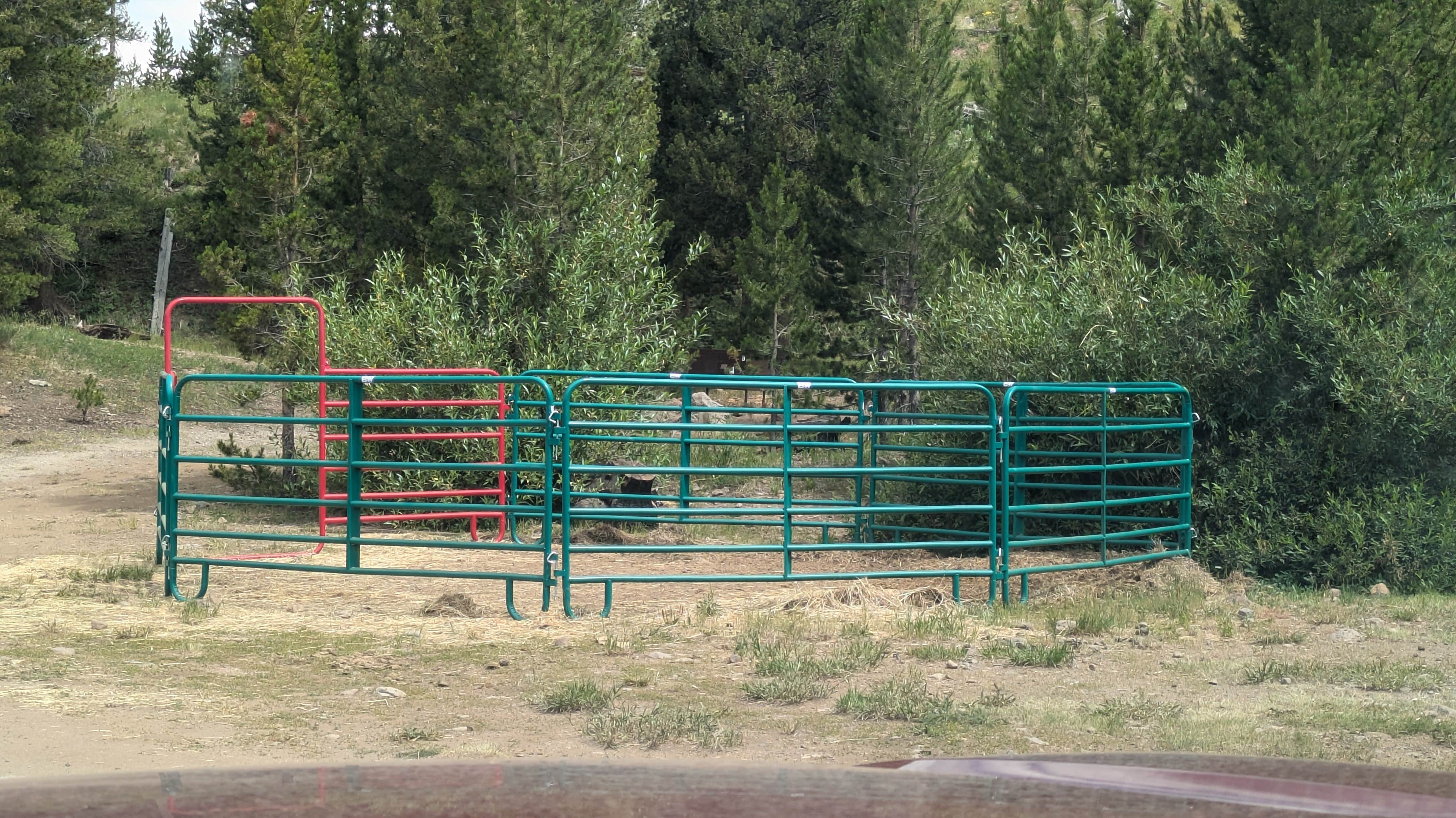 Camper-submitted photo at Trappers Lake Horse Thief Equestrian Campground near Glenwood Springs, CO