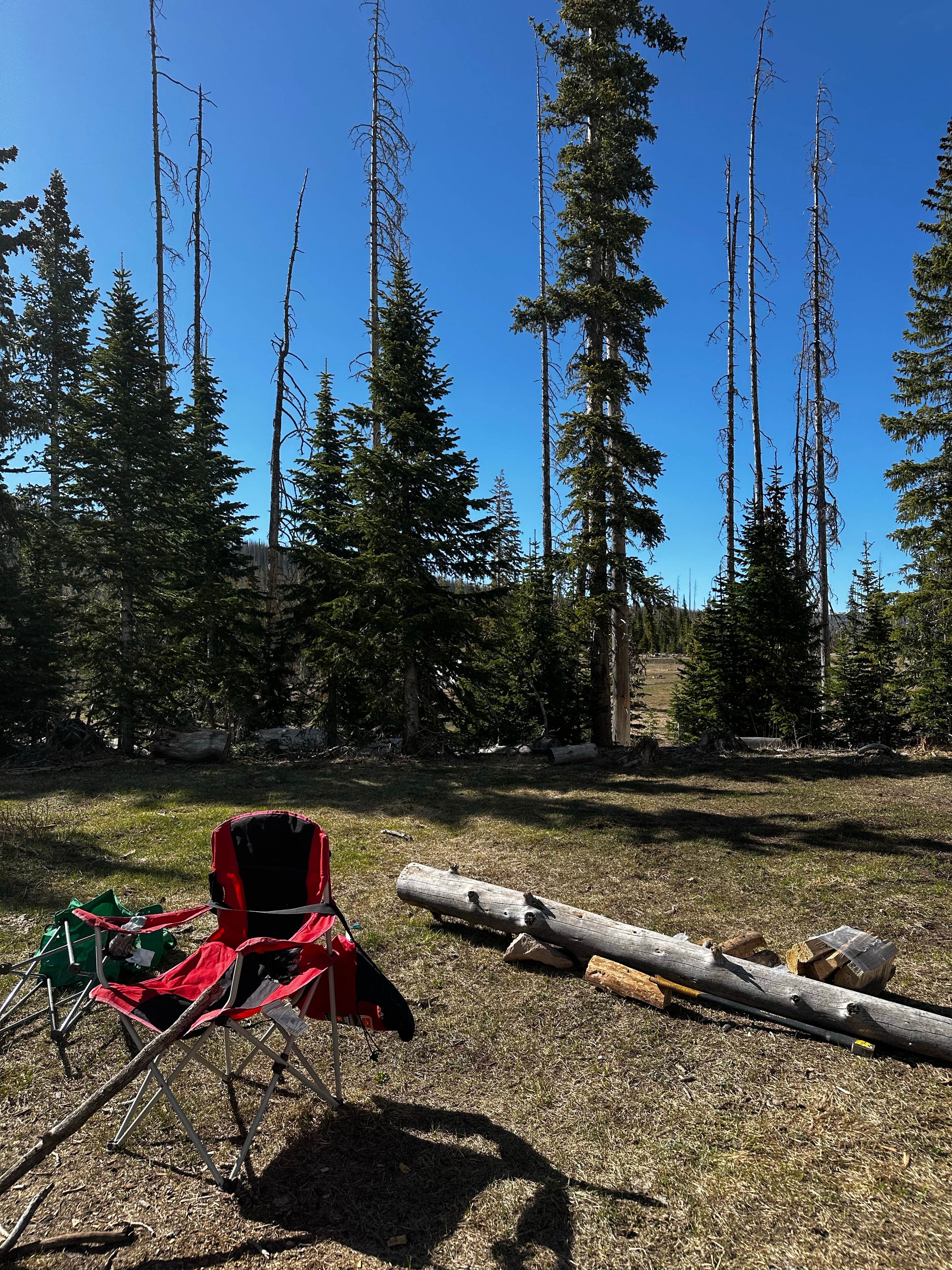 Camper submitted image from Trujillo Meadows - 3