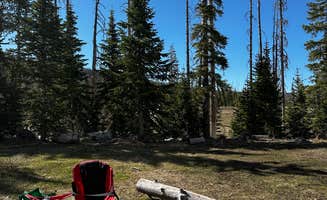 Adena R.'s photo at Trujillo Meadows near Los Ojos, NM