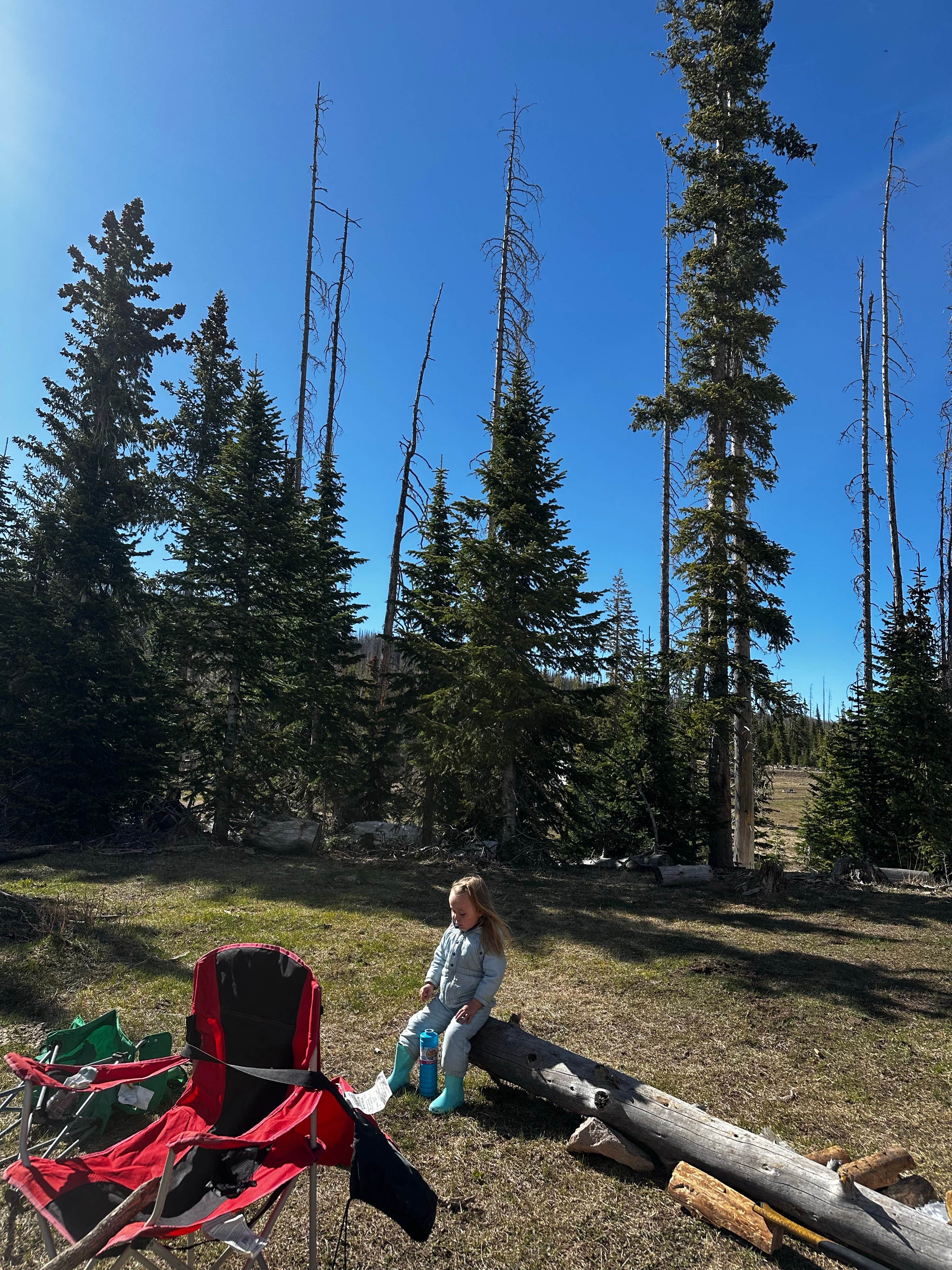 Camper-submitted photo at Trujillo Meadows near Chama, NM