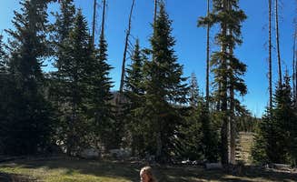 Adena R.'s photo at Trujillo Meadows near Antonito, CO