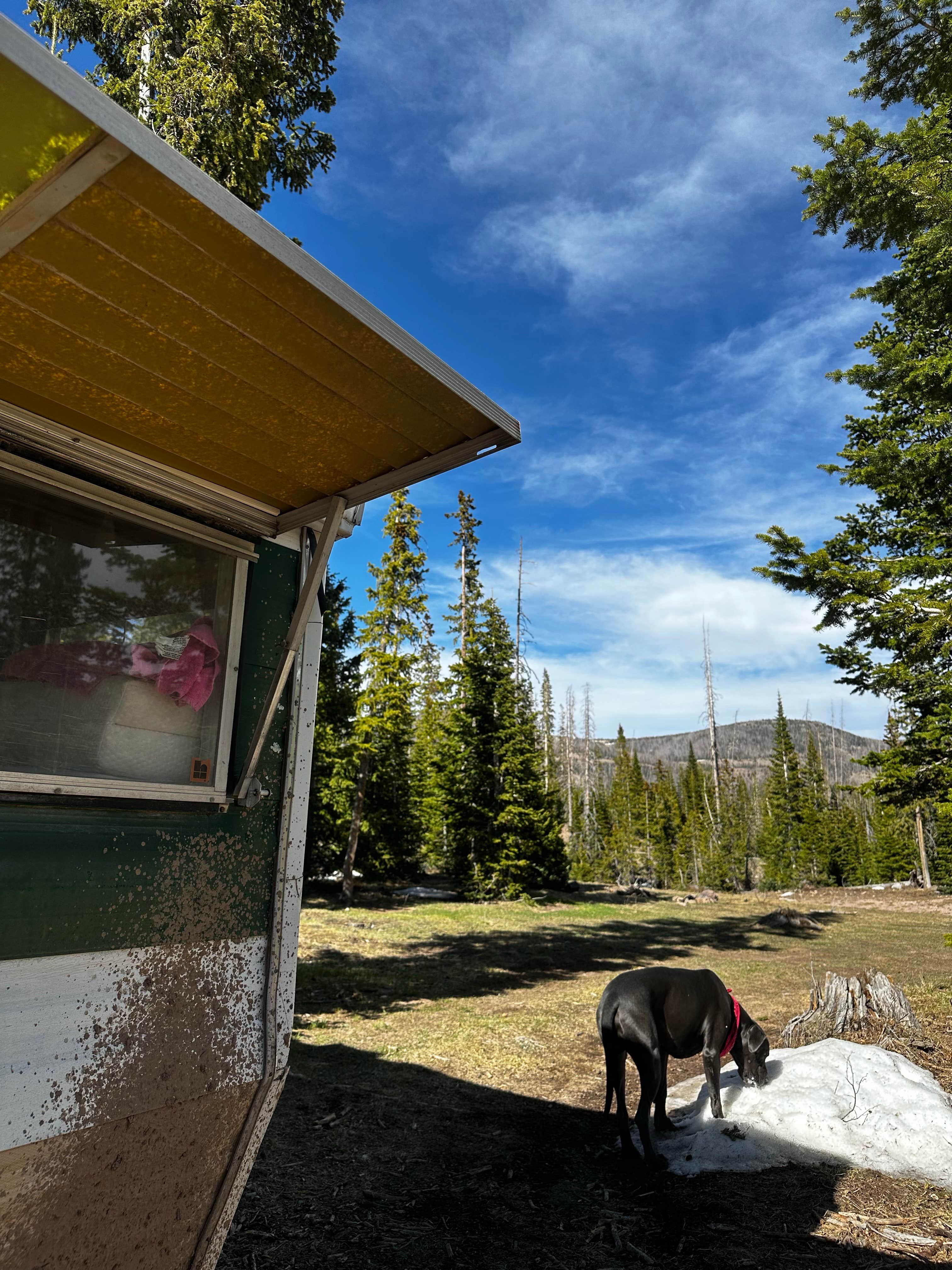 Adena R.'s photo of camping with pets at Trujillo Meadows near Antonito, CO