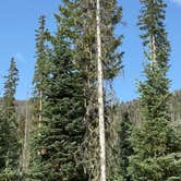 Review photo of Tucker Ponds Campground by J C., July 15, 2026
