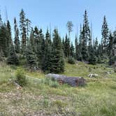 Review photo of Tucker Ponds Campground by J C., July 15, 2026