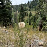 Review photo of Tucker Ponds Campground by J C., July 15, 2026