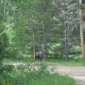 Review photo of Tunnel Campground by Kaylin B., July 22, 2024