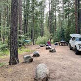 Review photo of Vallecito Campground by Amy L., August 25, 2024
