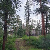 Review photo of Vallecito Campground by Todd T., February 19, 2024