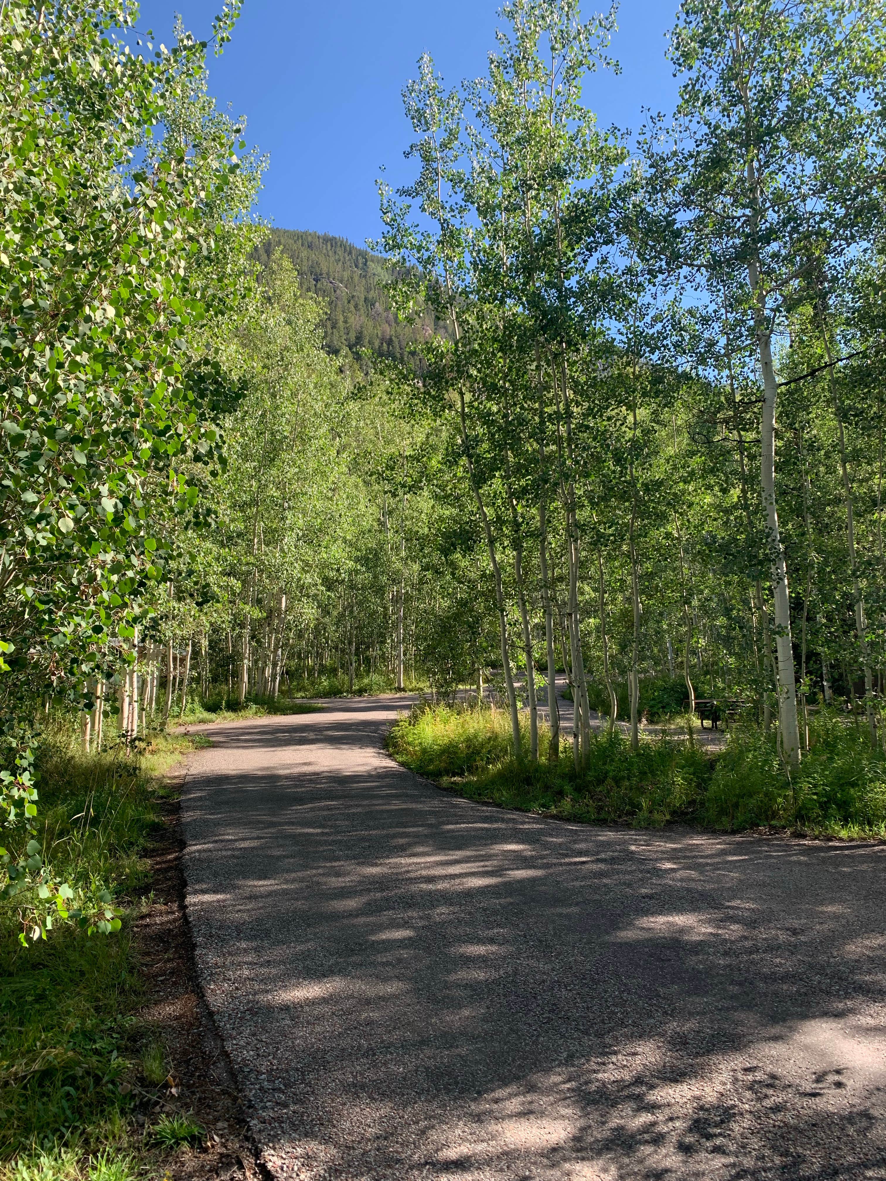 Camper-submitted photo at Weller Campground near Aspen, CO