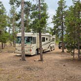 Review photo of West Magnolia Campground by aneta O., August 13, 2026