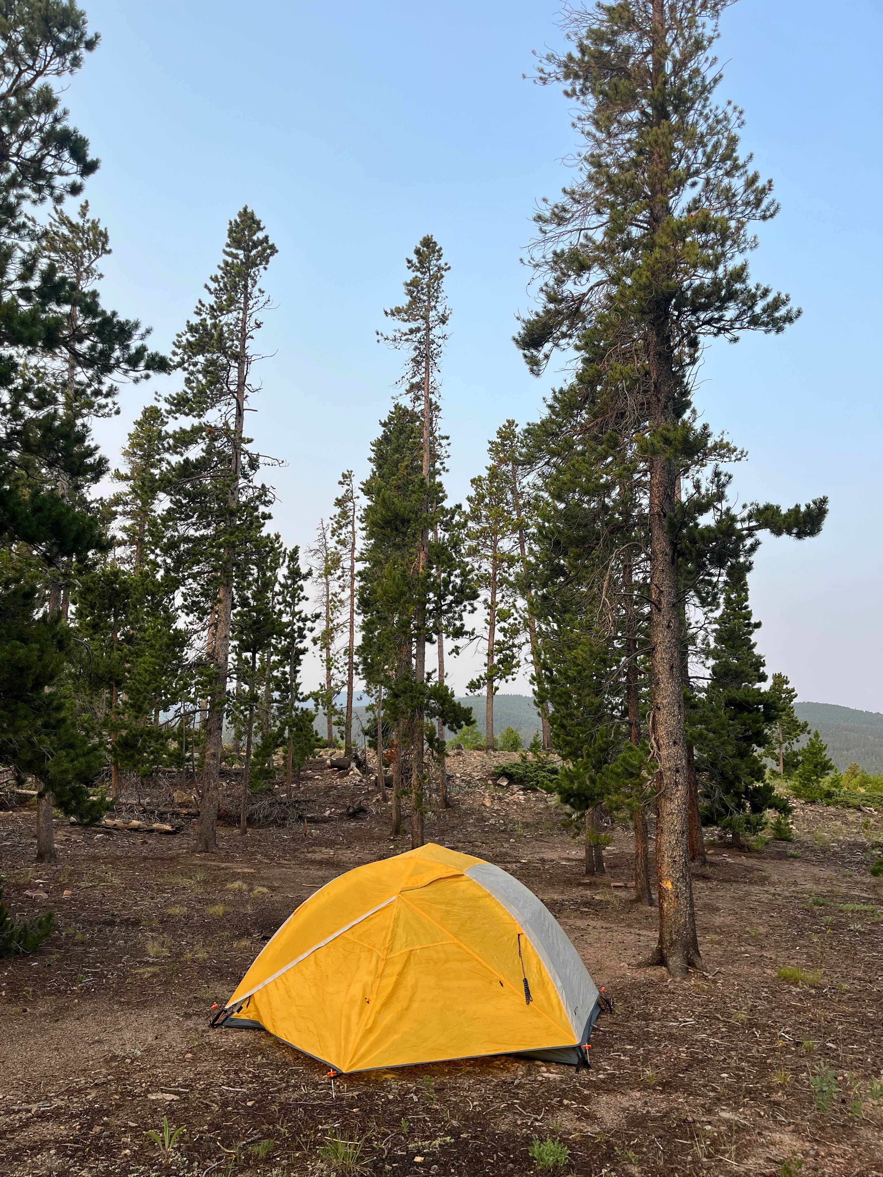 Camper-submitted photo at West Magnolia Campground near Black Hawk, CO