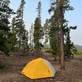 Review photo of West Magnolia Campground by Mary P., July 23, 2024