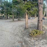 Review photo of West Magnolia Campground by A A Ron J., October 16, 2024