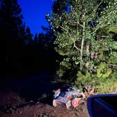 Review photo of West Magnolia Campground by Mary P., July 23, 2024