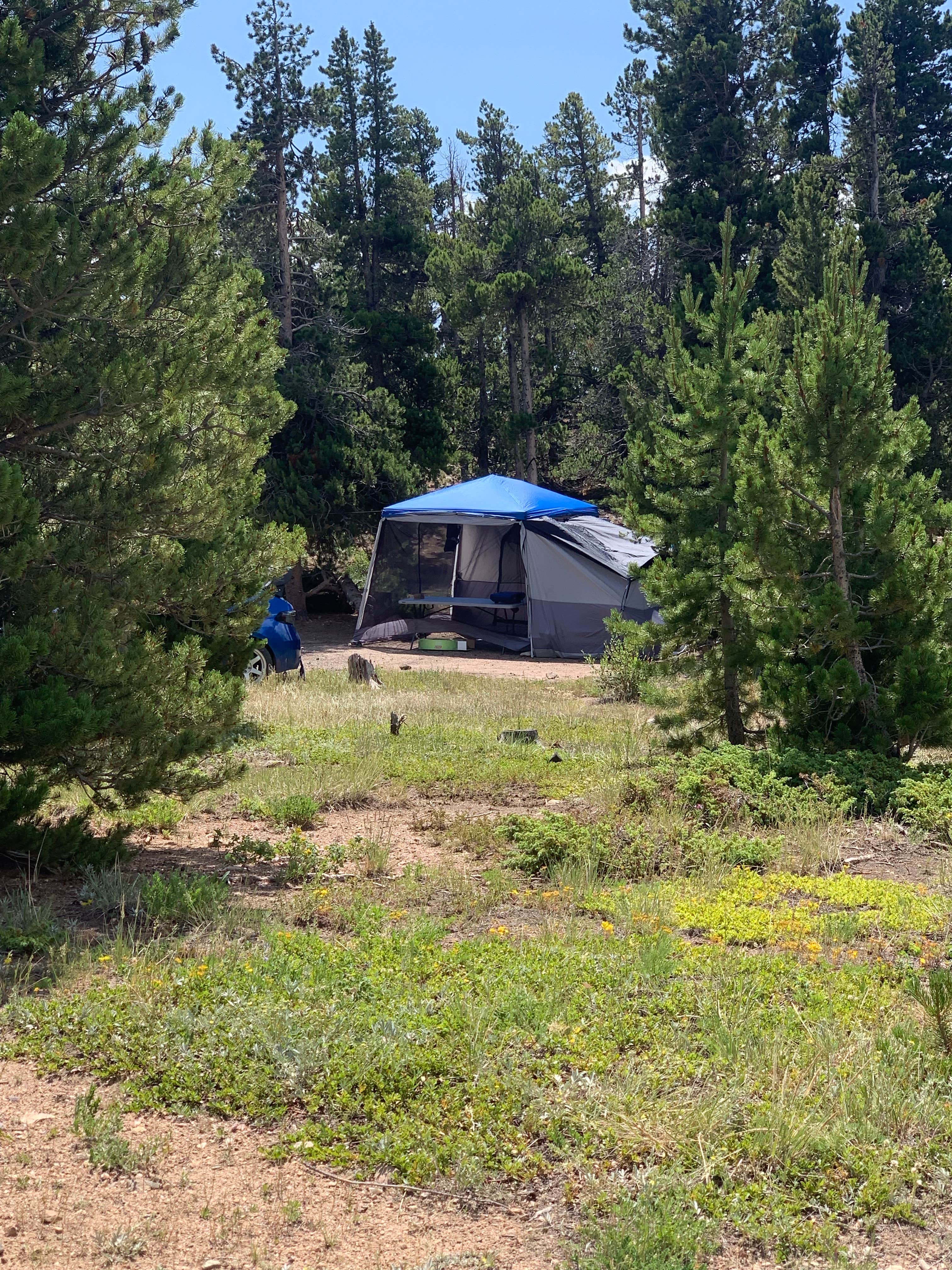Alexis P.'s photo of a dispersed camping area at West Magnolia Campground near Pleasant View, CO