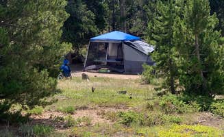 Alexis P.'s photo at West Magnolia Campground near Rollinsville, CO