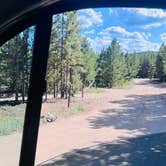 Review photo of West Magnolia Campground by THERESA N., July 18, 2026