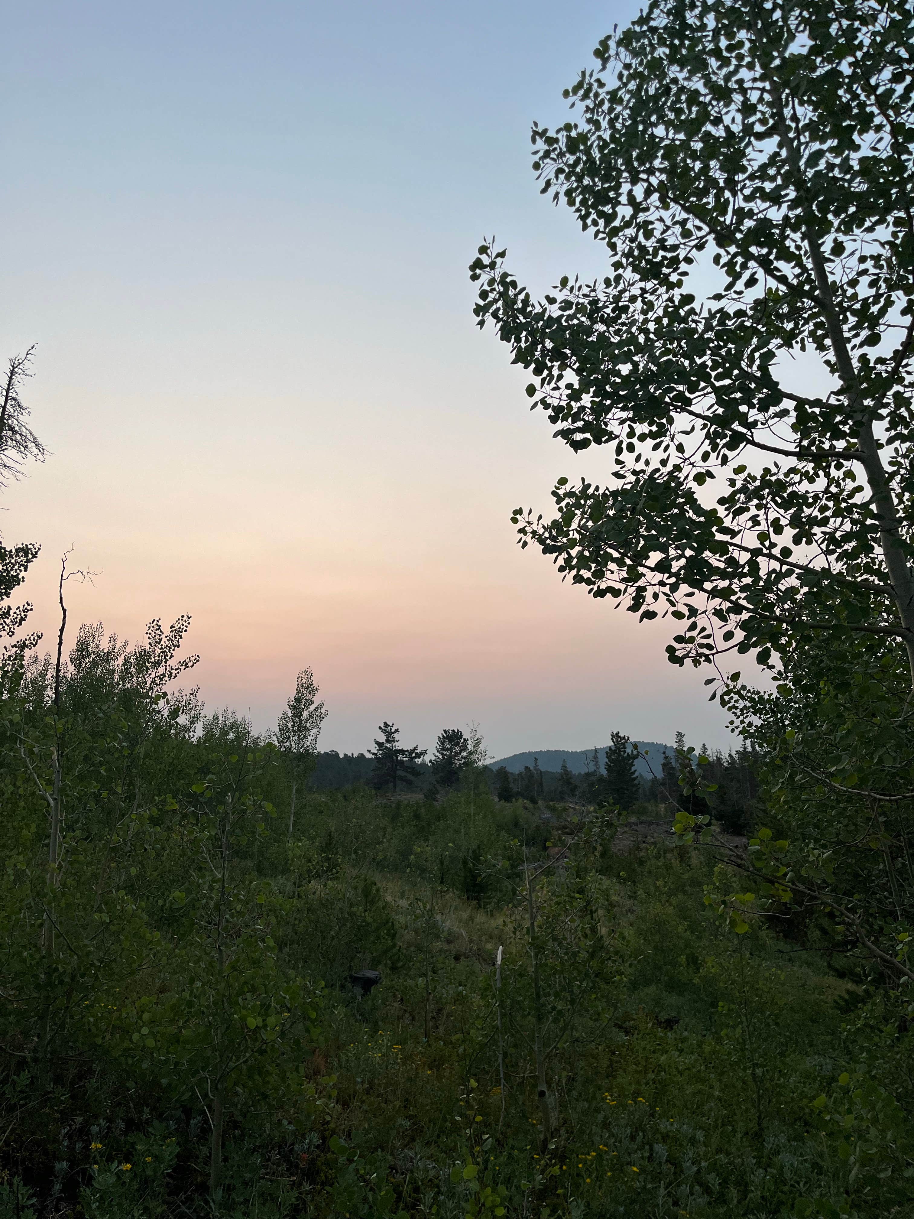 Mary P.'s photo of a dispersed camping area at West Magnolia Campground near Aurora, CO