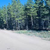 Review photo of West Magnolia Campground by THERESA N., July 18, 2026