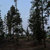 Review photo of West Magnolia Campground by Mary P., July 23, 2024
