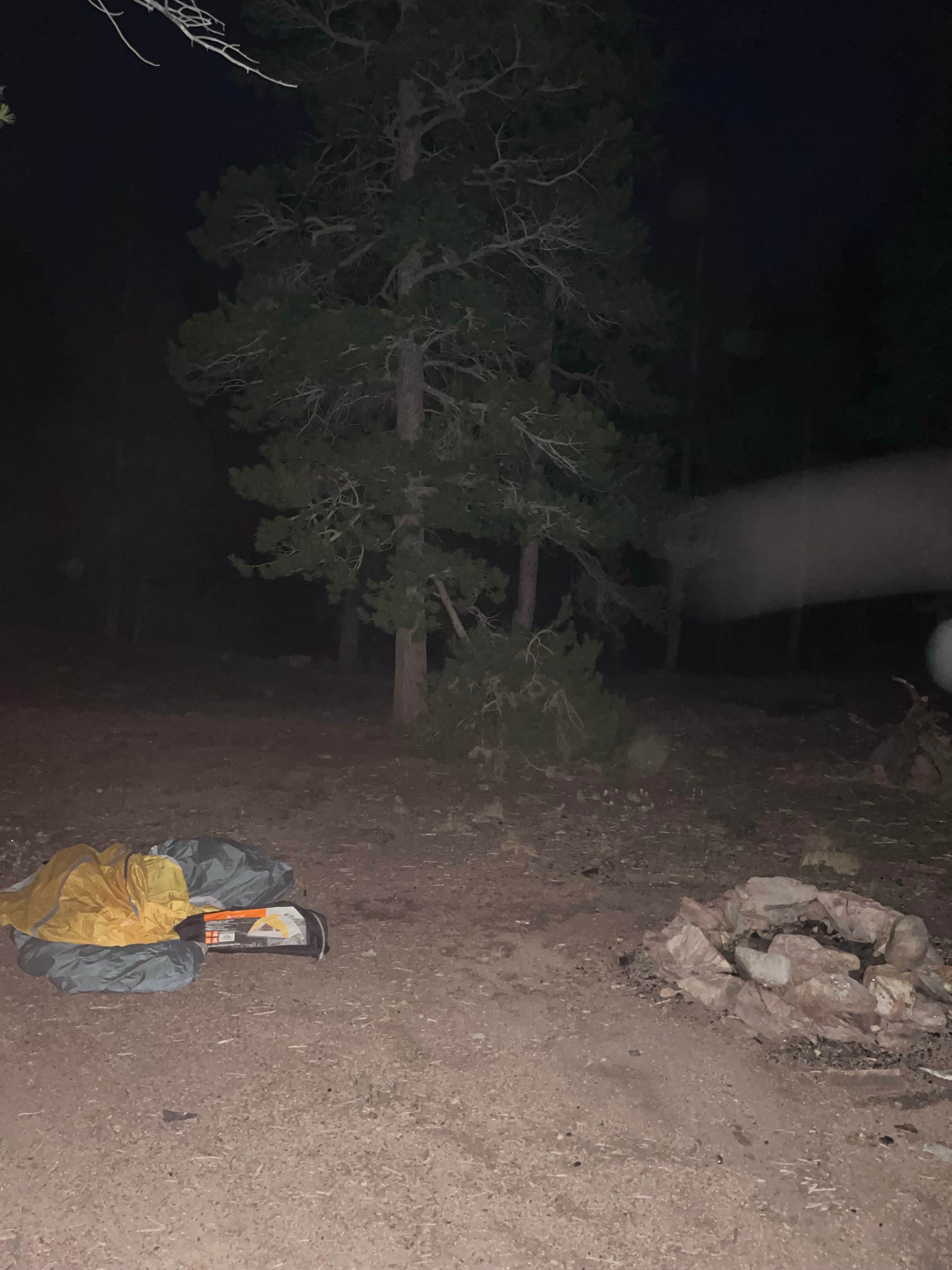 Mary P.'s photo of a dispersed camping area at West Magnolia Campground near Black Hawk, CO