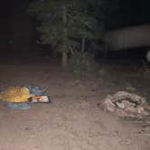 Review photo of West Magnolia Campground by Mary P., July 23, 2024