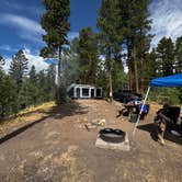 Review photo of San Juan National Forest Williams Creek Campground by Jeremy S., July 19, 2025