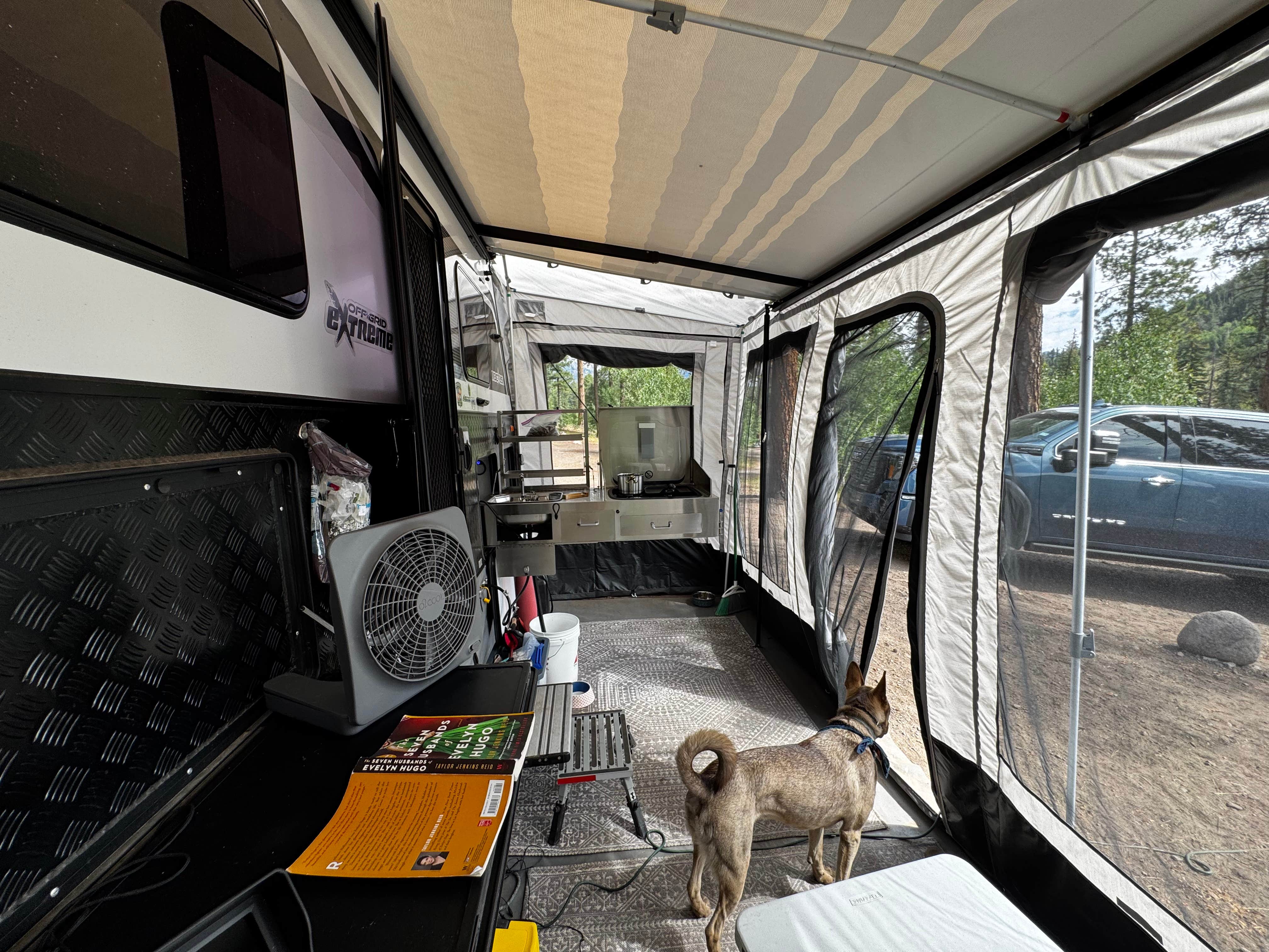 Jeremy S.'s photo of camping with pets at San Juan National Forest Williams Creek Campground near Pagosa Springs, CO
