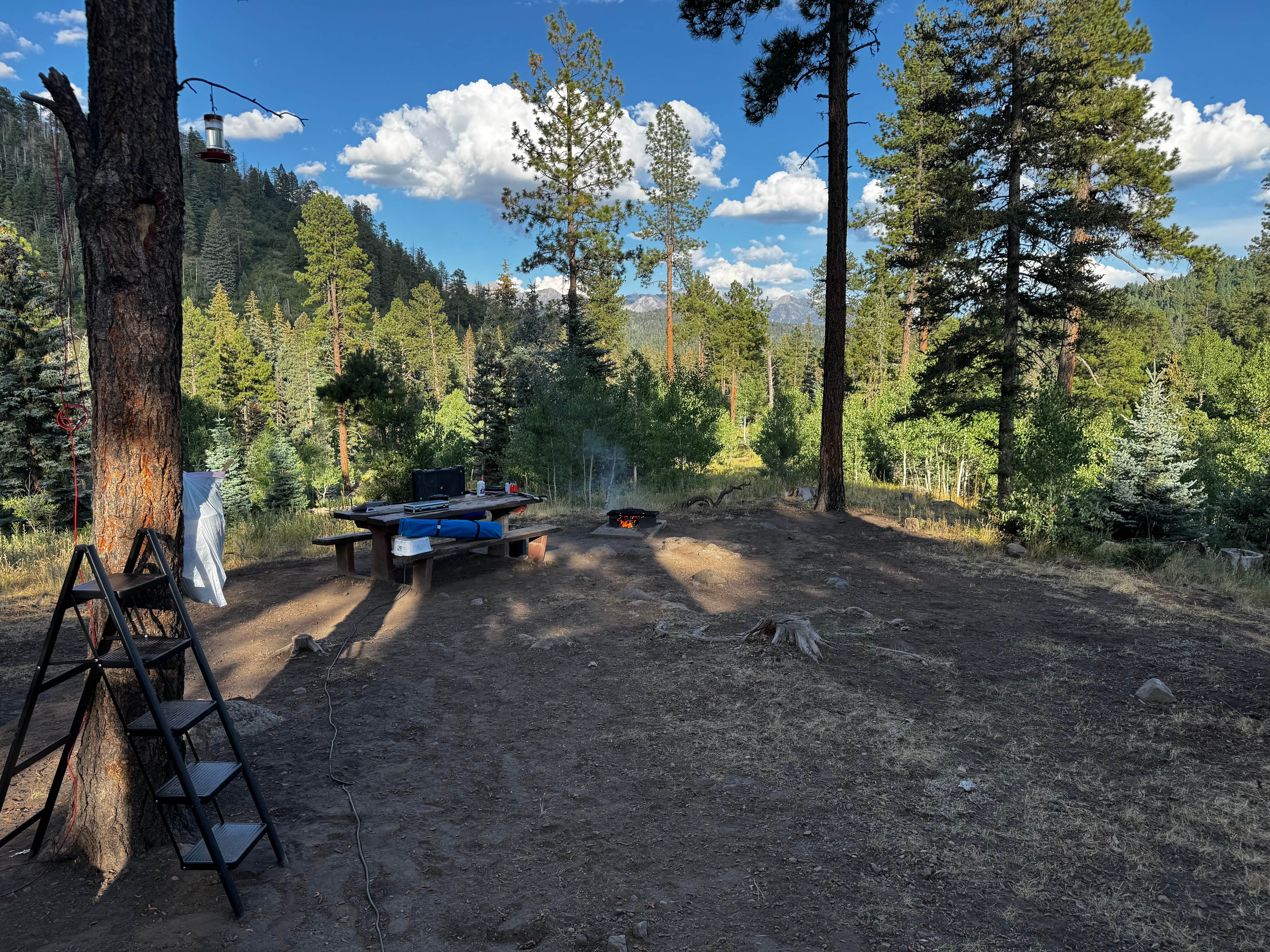 Camper submitted image from San Juan National Forest Williams Creek Campground - 4