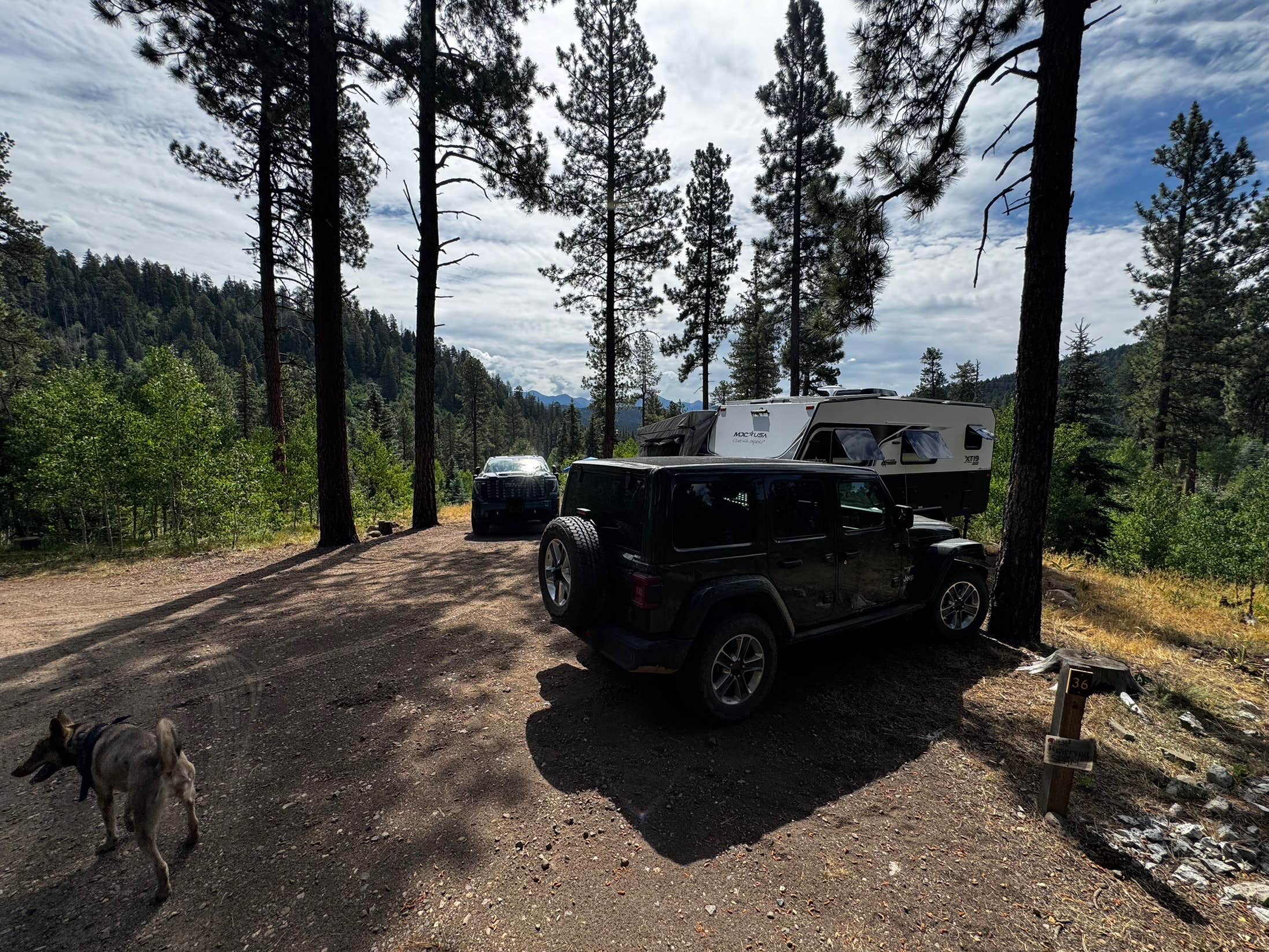 Jeremy S.'s photo of camping with pets at San Juan National Forest Williams Creek Campground near Pagosa Springs, CO