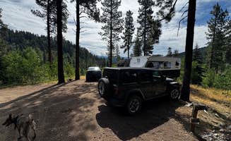 Jeremy S.'s photo of camping with pets at San Juan National Forest Williams Creek Campground near Pagosa Springs, CO