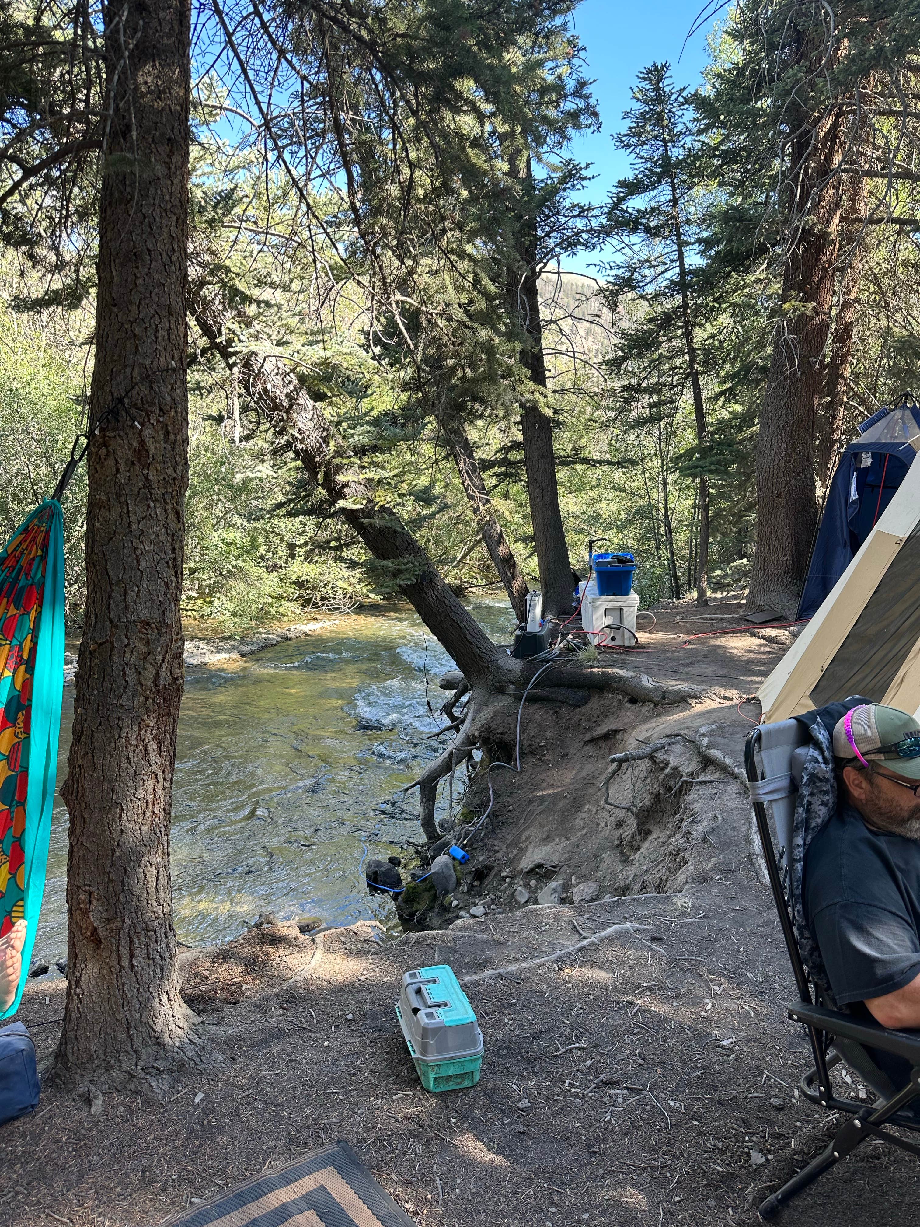 Camper-submitted photo at Williams Creek near Lake City, CO