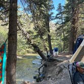 Review photo of Williams Creek by gretchen , June 8, 2024