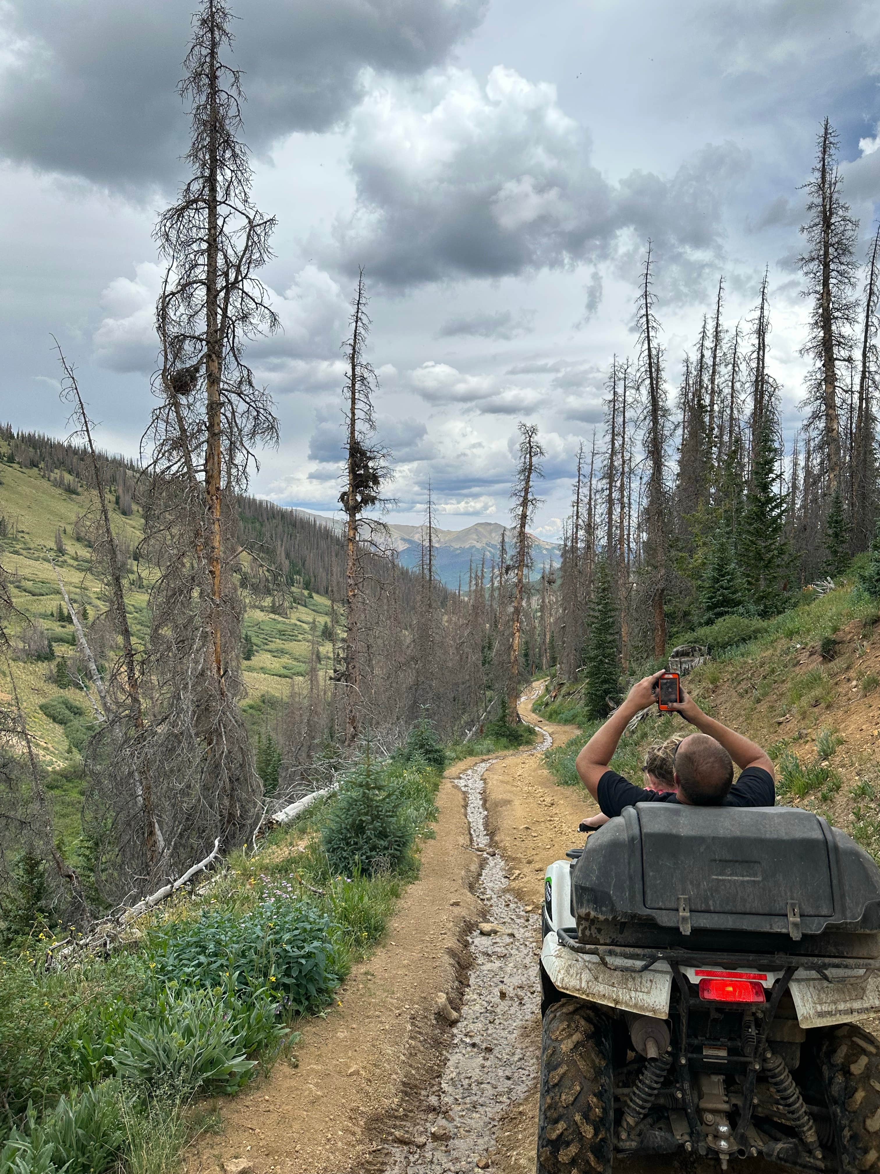 Camper submitted image from Williams Creek - 2