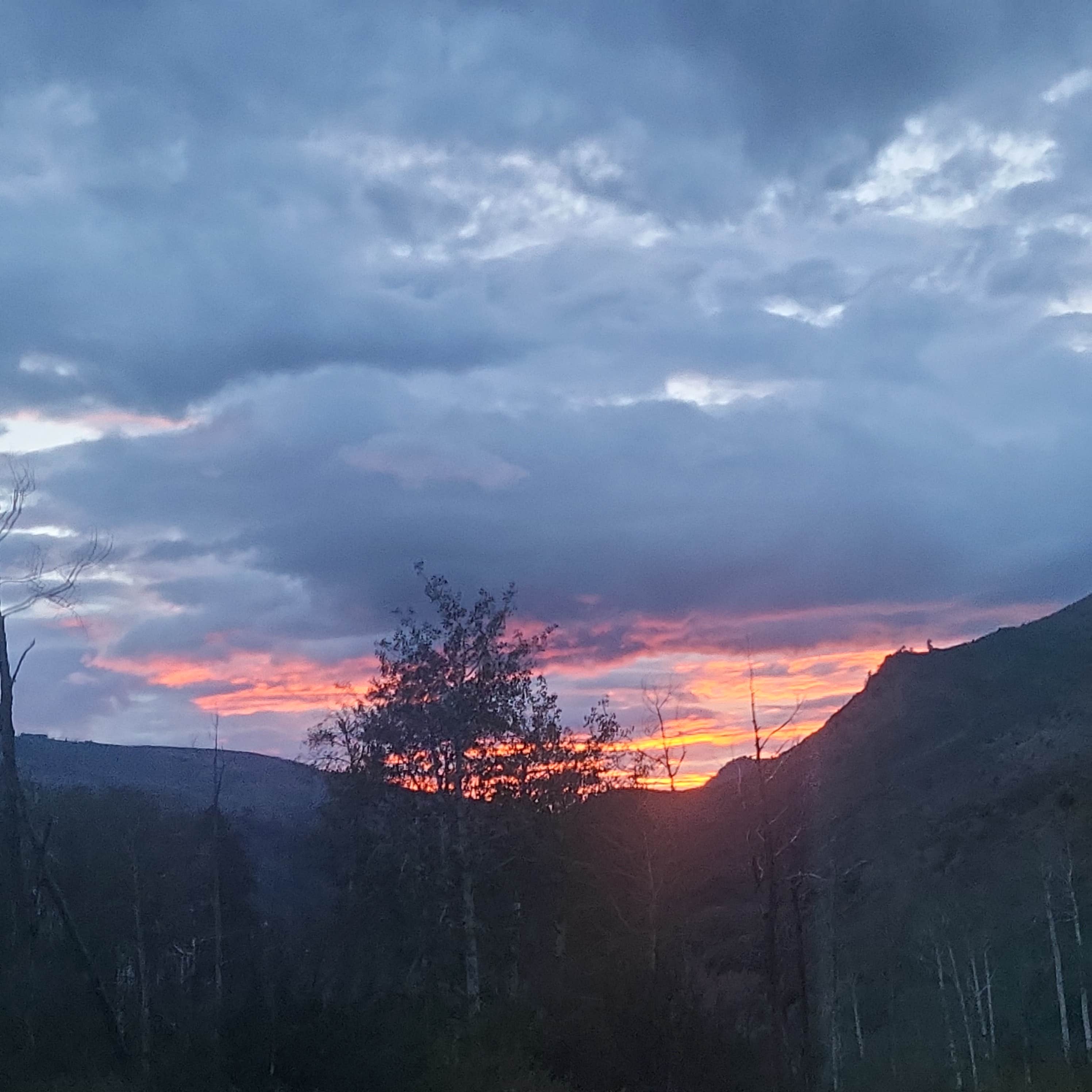 Camper-submitted photo at Yeoman Park near Snowmass Village, CO