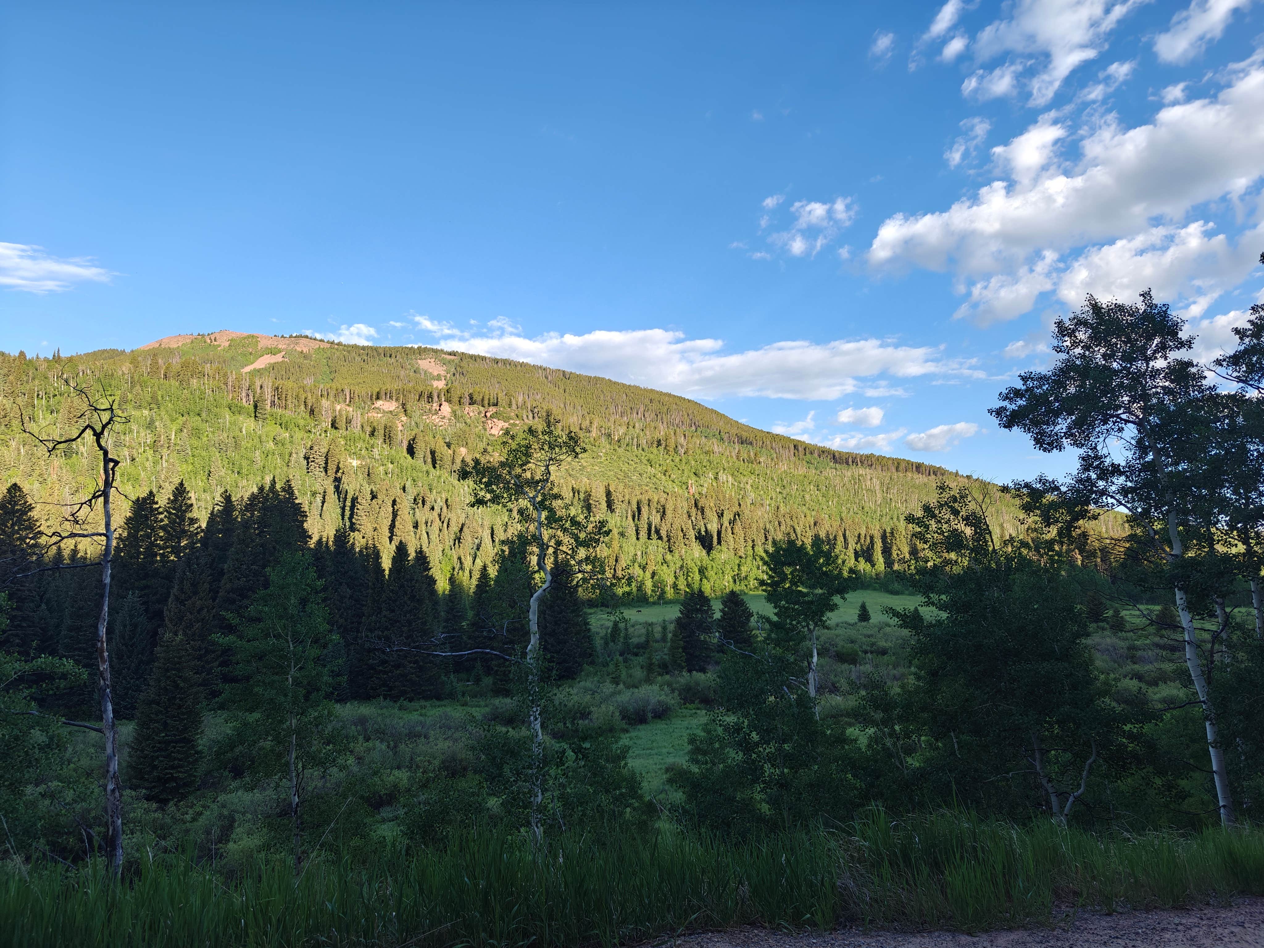 Camper-submitted photo at Yeoman Park near Snowmass Village, CO