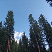 Review photo of Yeoman Park by Stephanie C., July 4, 2024