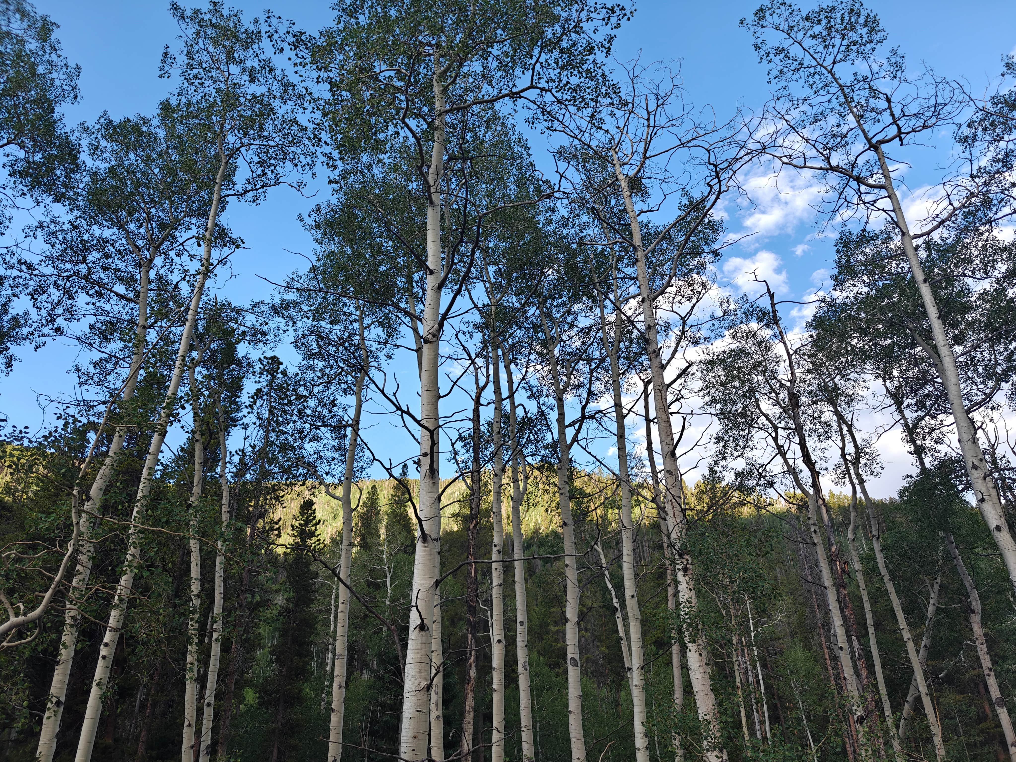 Camper-submitted photo at Yeoman Park near Edwards, CO