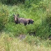 Review photo of Yeoman Park by Anita A., August 30, 2024