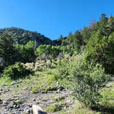 Review photo of Zapata Falls Campground by Jason , September 3, 2024