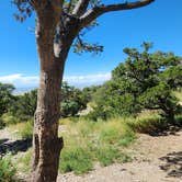 Review photo of Zapata Falls Campground by Jason , September 3, 2024