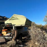 Review photo of Colossal Cave Mountain Park by holly C., January 10, 2024