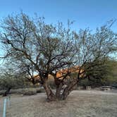 Review photo of Colossal Cave Mountain Park by holly C., January 10, 2024
